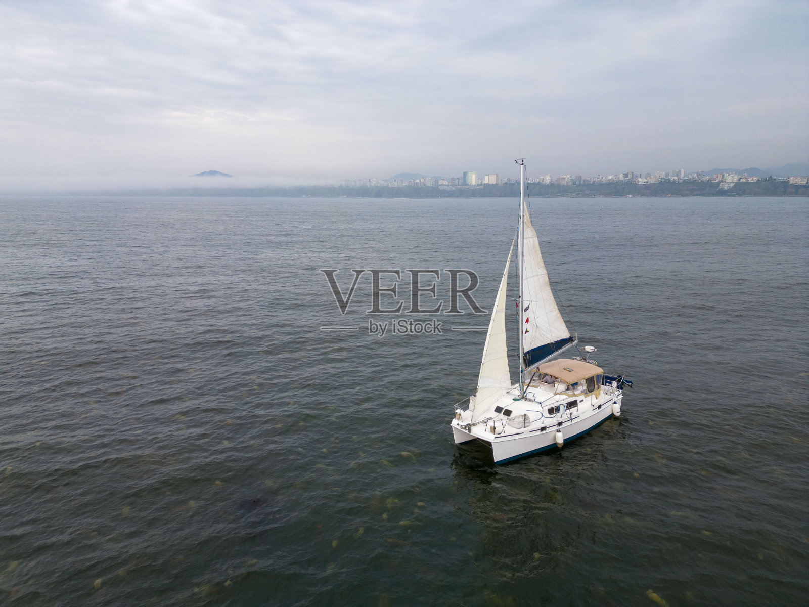 海上的帆船,背后是城市的天际线照片摄影图片