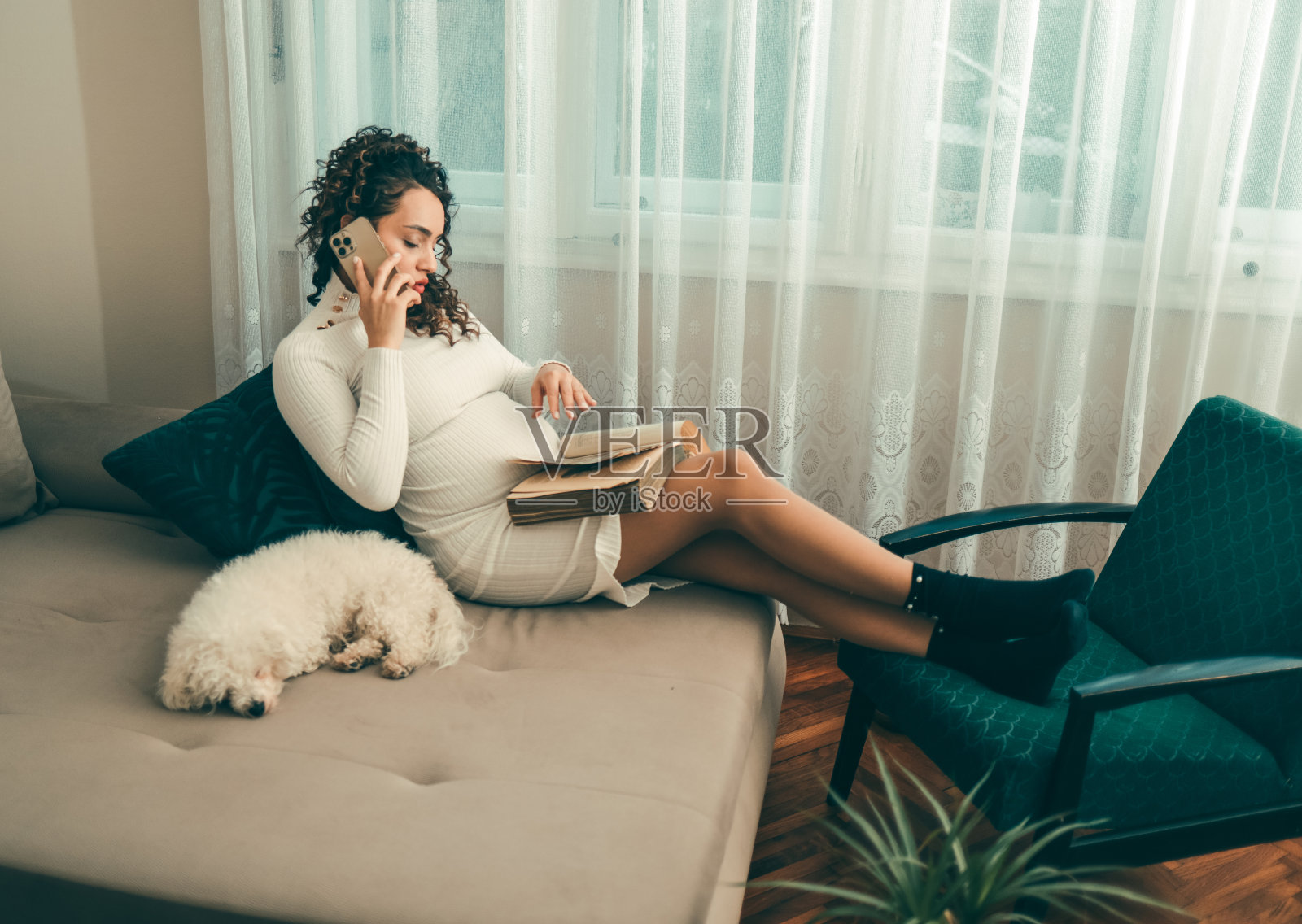 年轻的孕妇在她公寓的沙发上看书,她的宠物狗和她在一起照片摄影图片