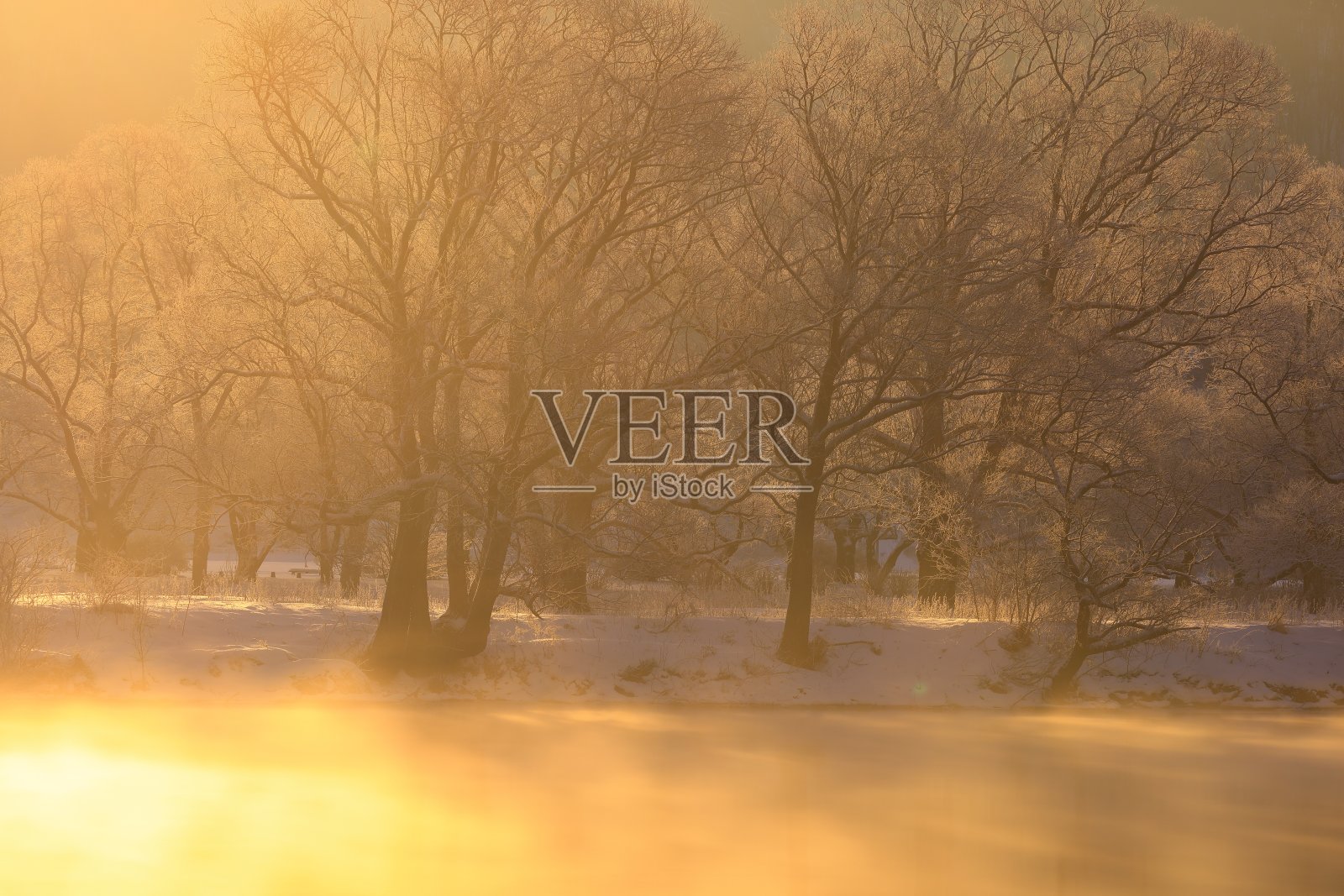 日出冬景照片摄影图片