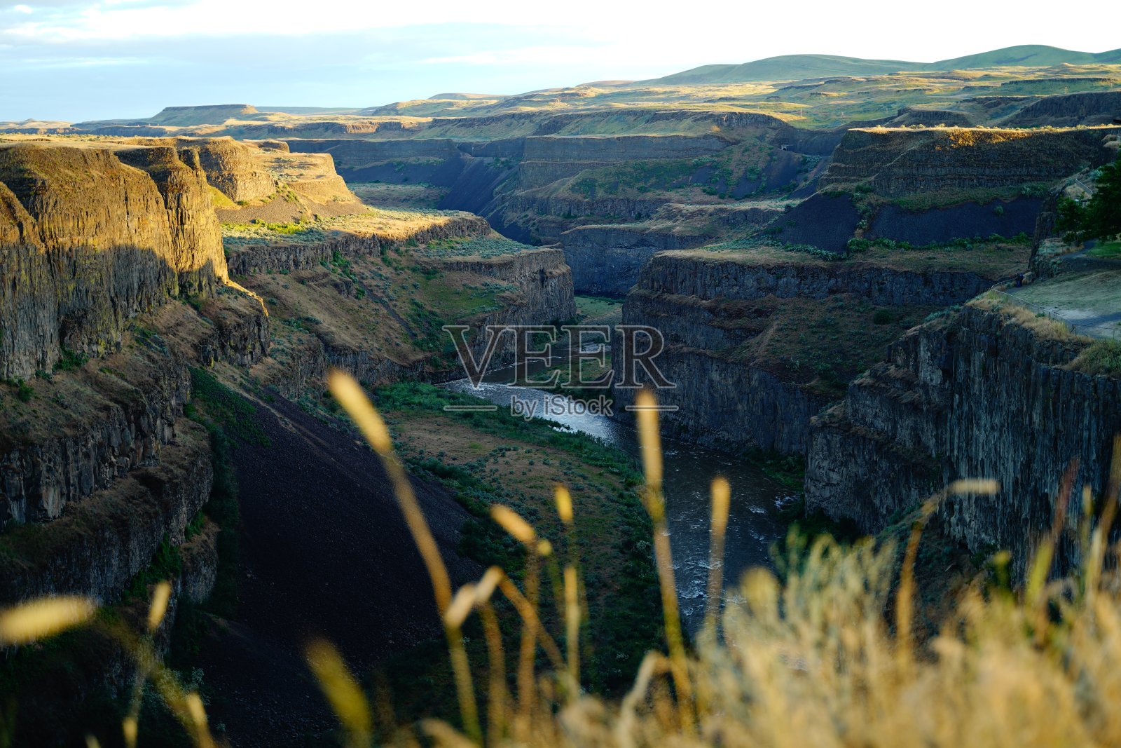 2022年帕卢斯照片摄影图片