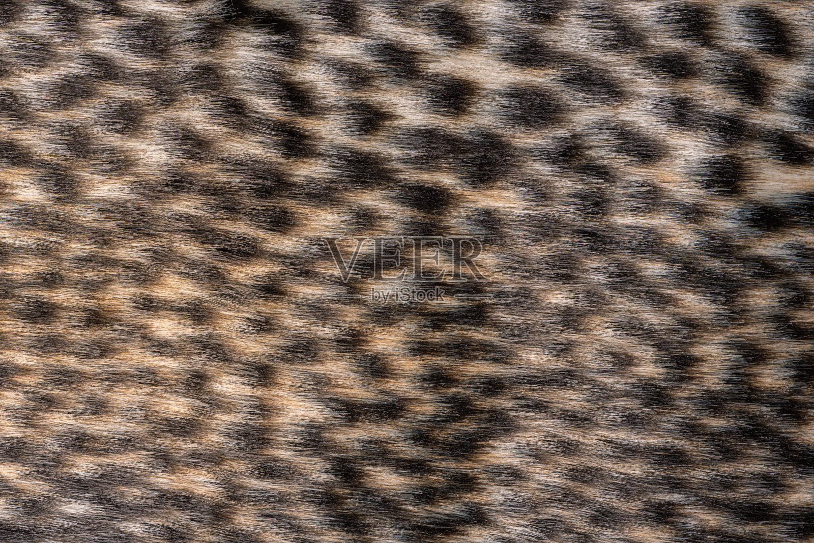 豹毛皮纹理顶部视图。野生动物豹的背景或纹理。野生毛皮图案。豹子毛茸茸的皮毛照片摄影图片