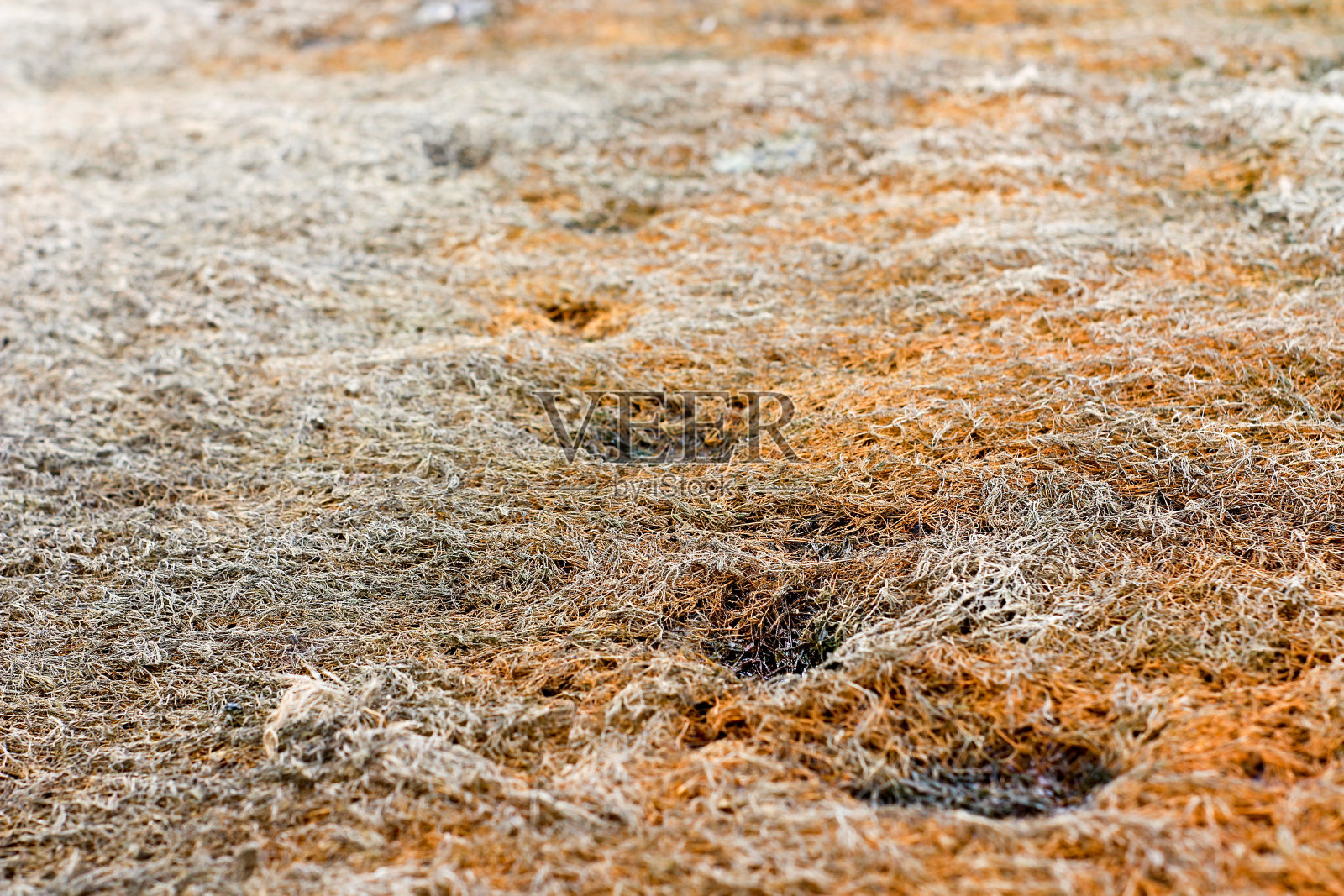 即将自然分解的枯草。照片摄影图片