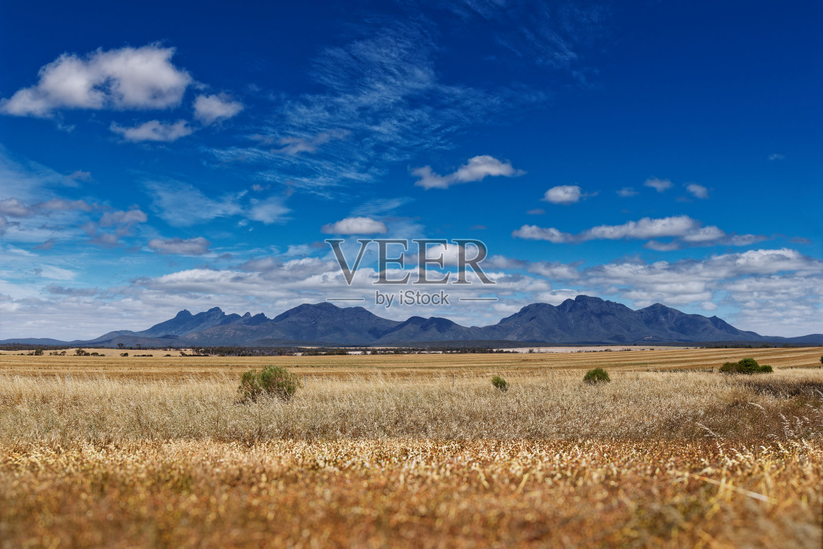 斯特灵山脉或柯伊基恩努鲁夫景观,西澳大利亚美丽的布拉夫诺尔峰国家公园。通往岩石山脉的道路和景色照片摄影图片