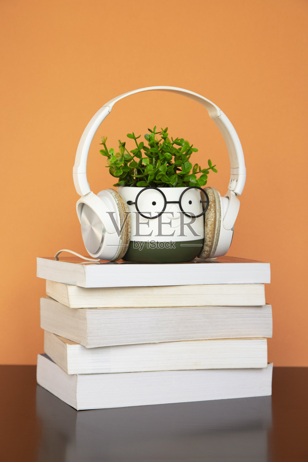 带耳机的书籍和植物照片摄影图片