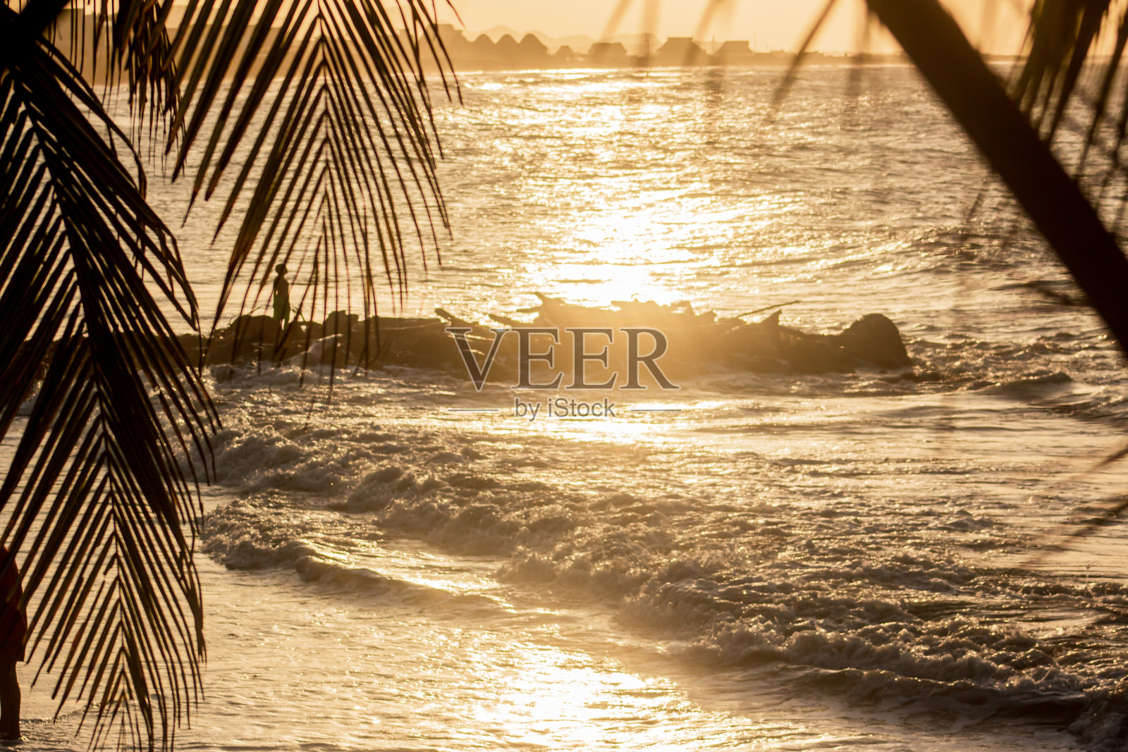 夕阳带着金色的海带着手掌照片摄影图片