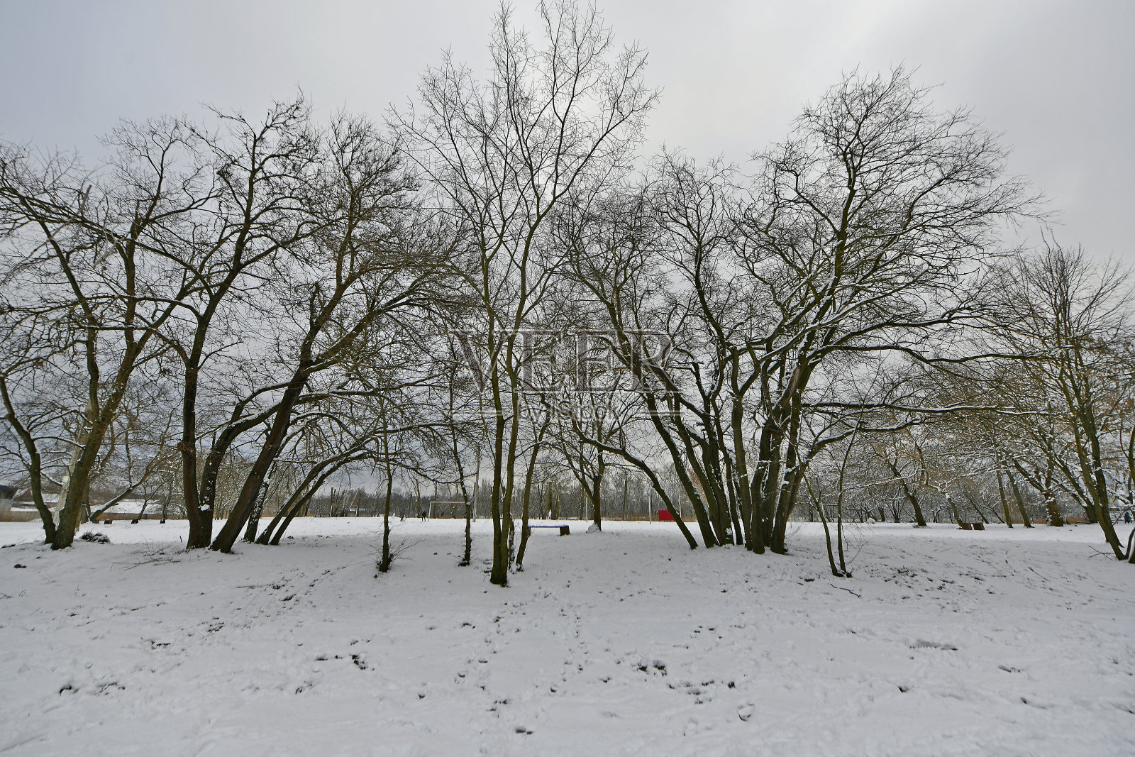 冬季城市景观照片摄影图片