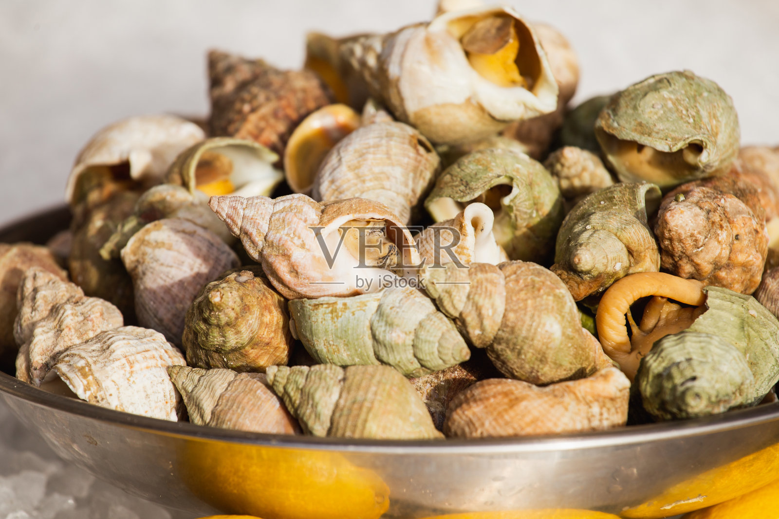 新鲜的海味——牡蛎、虾和蜗牛照片摄影图片