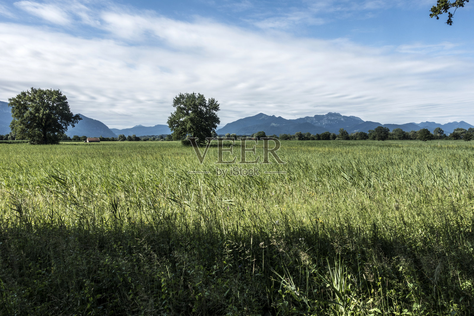 南部的巴伐利亚照片摄影图片