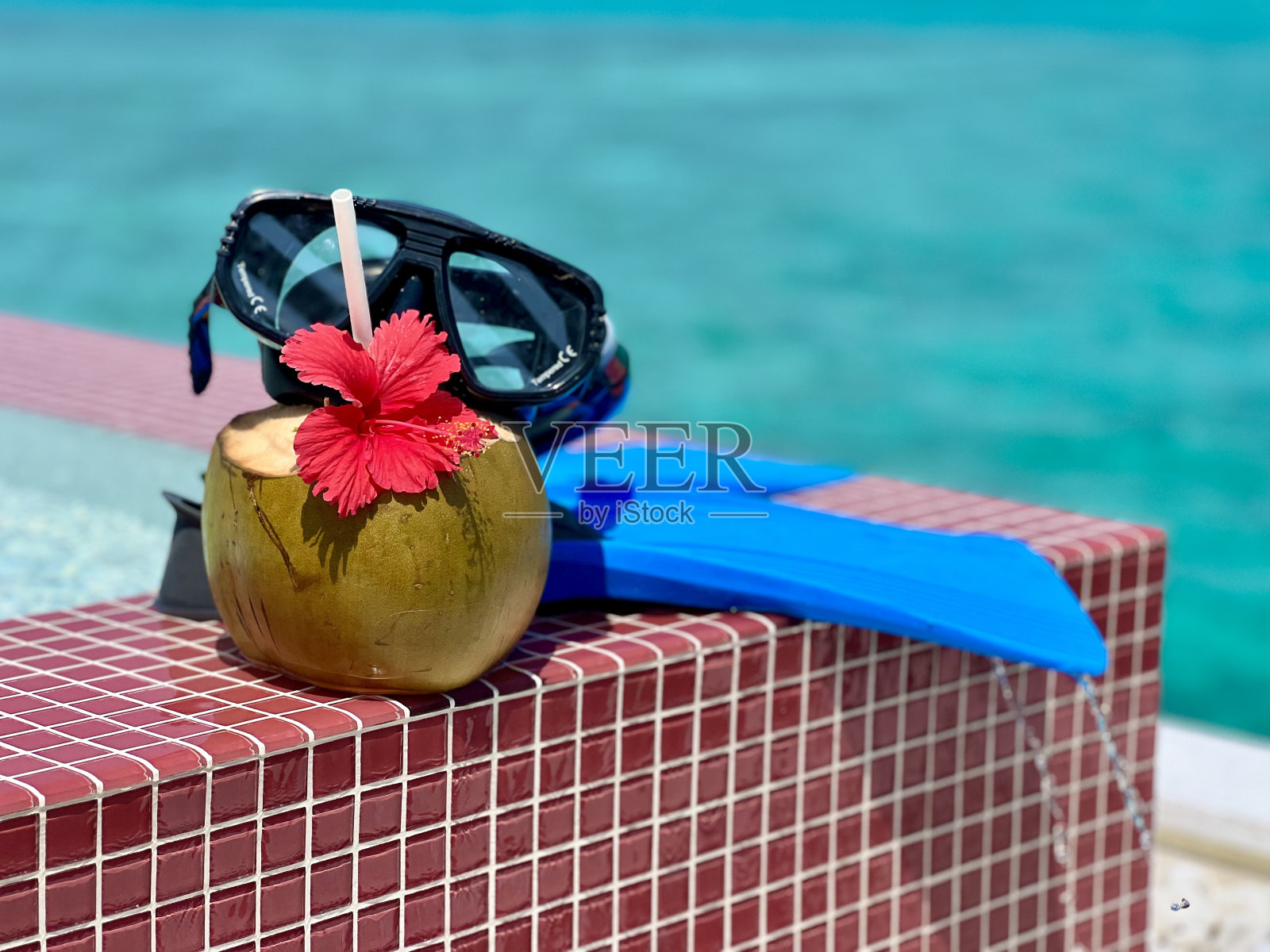 潜水员蜜月照片摄影图片