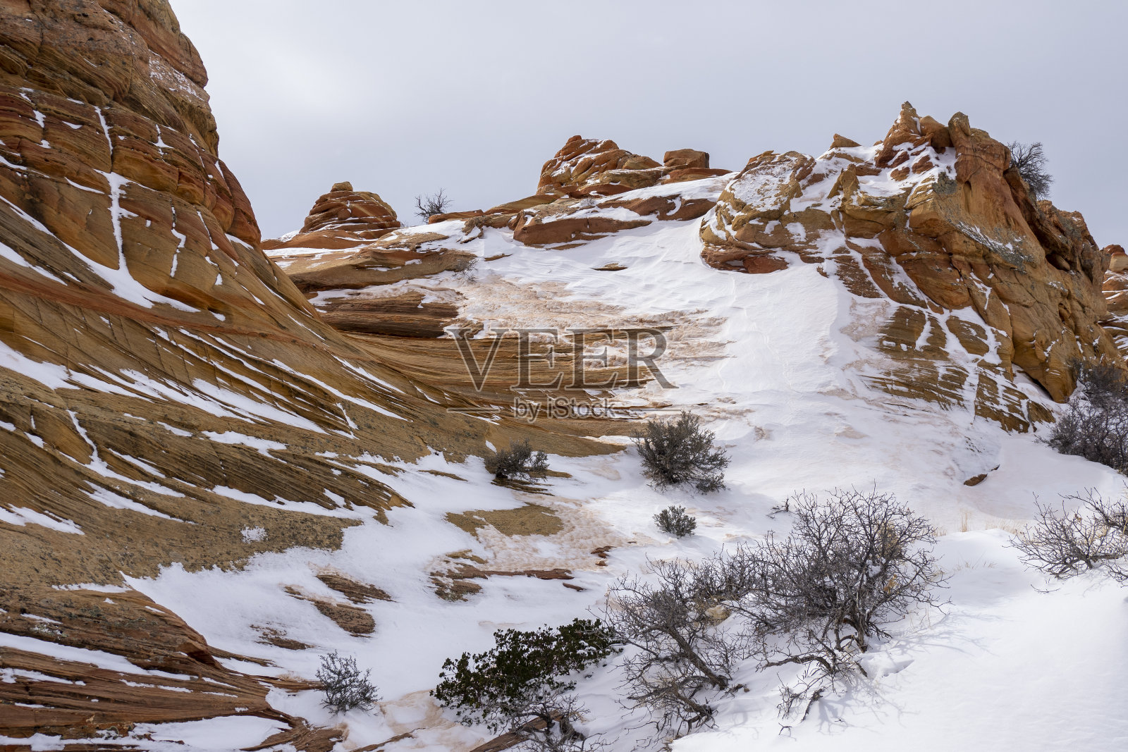 郊狼丘南部照片摄影图片