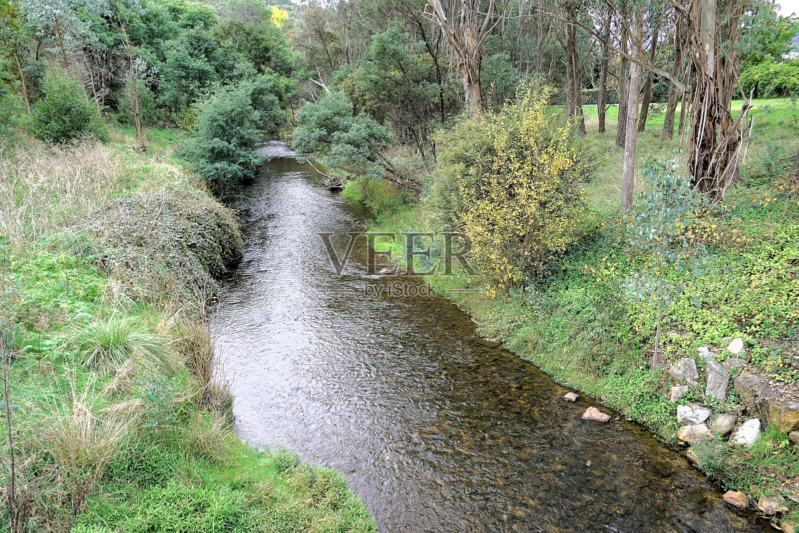 布莱特,维多利亚,澳大利亚照片摄影图片