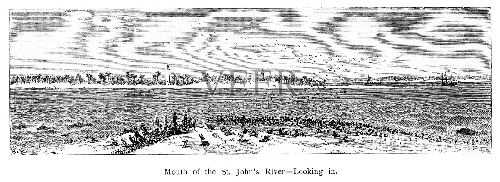 圣约翰河口(向内),佛罗里达州,美国,地理设计元素图片