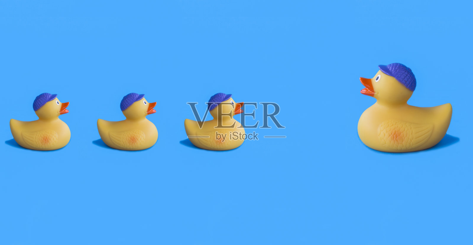 黄色的玩具小鸭在蓝色的背景上洗澡。特写镜头。副本的空间。照片摄影图片