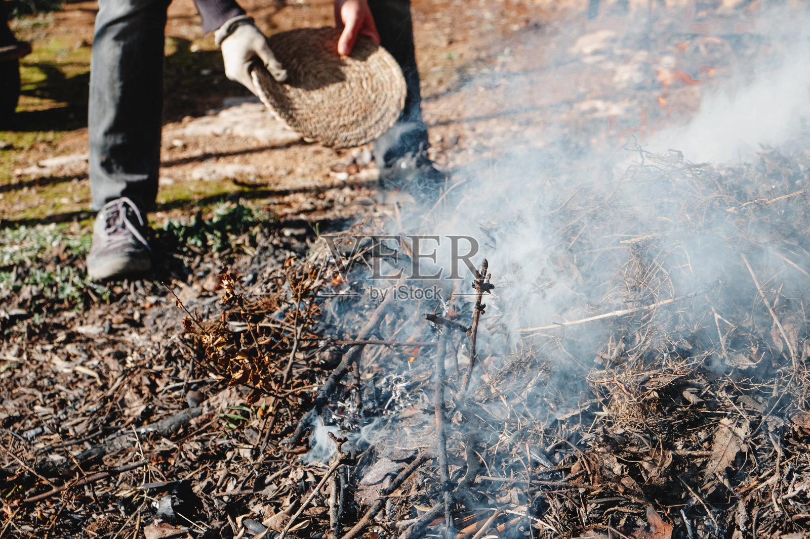 一名男子点燃了一棵植物的篝火照片摄影图片