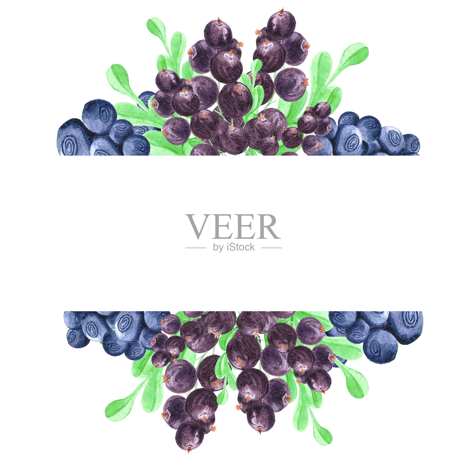手绘水彩框架蓝莓绿叶和黑醋栗。剪贴簿,明信片,横幅,标签。插画图片素材
