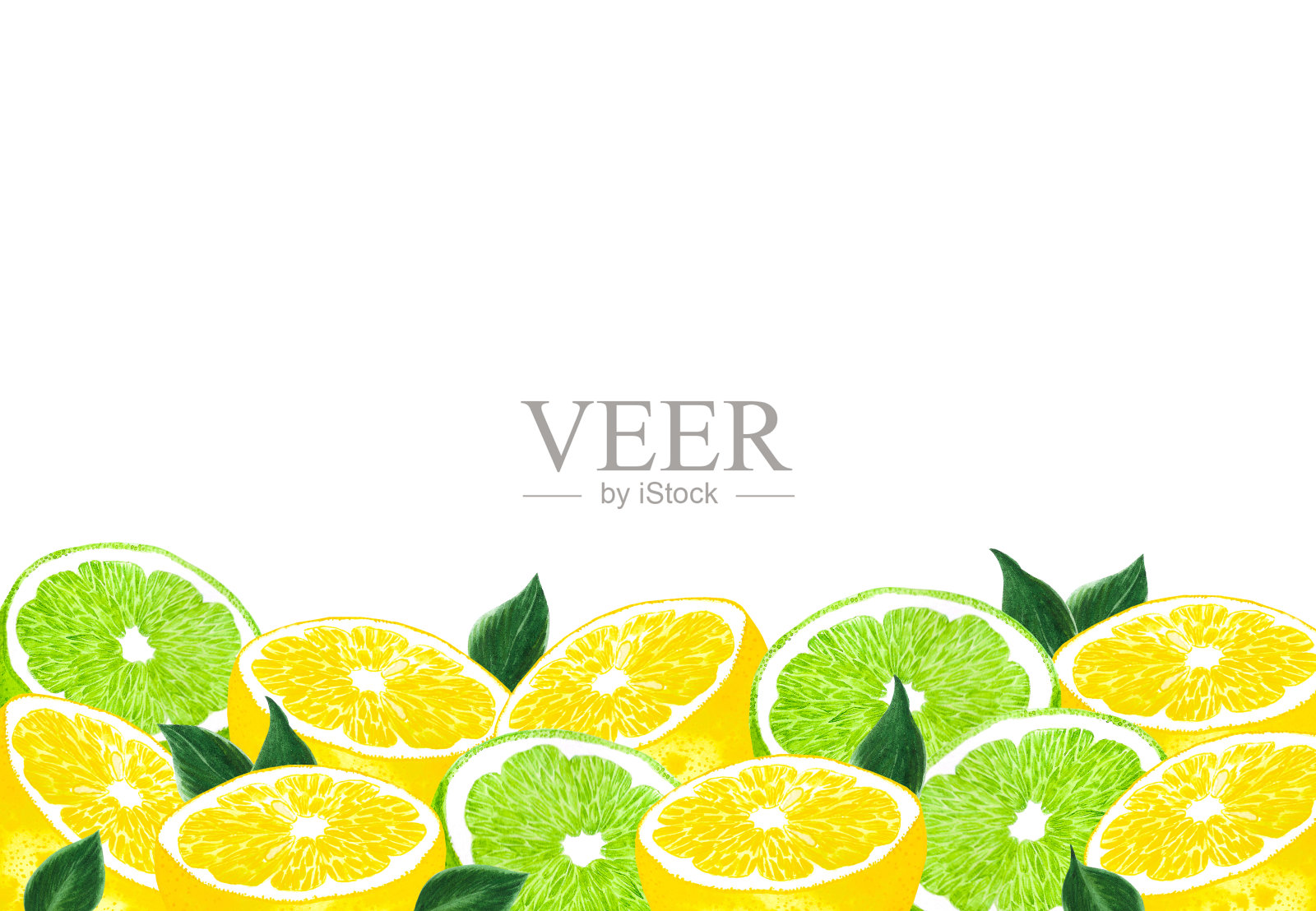 手绘水彩柠檬酸橙与柠檬花和树叶框架孤立的白色背景。剪贴簿,明信片,横幅,标签。插画图片素材