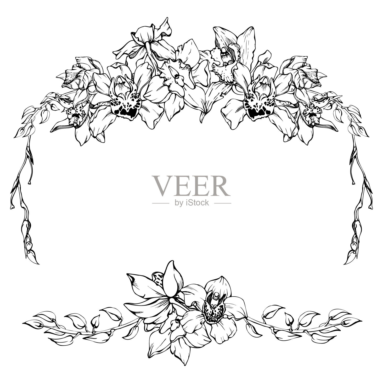 手绘矢量水墨兰花花枝,单色,轮廓详细。水平框架组成。孤立在白色背景上。设计墙面艺术,婚礼,印刷,纹身,封面,卡片。插画图片素材