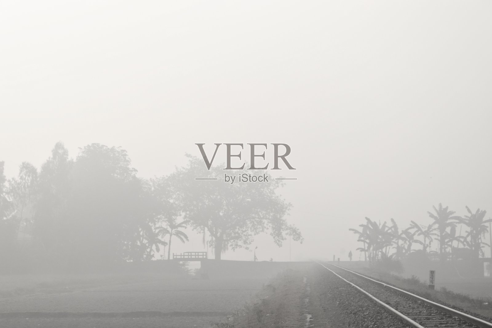 多雾的冬日早晨照片摄影图片