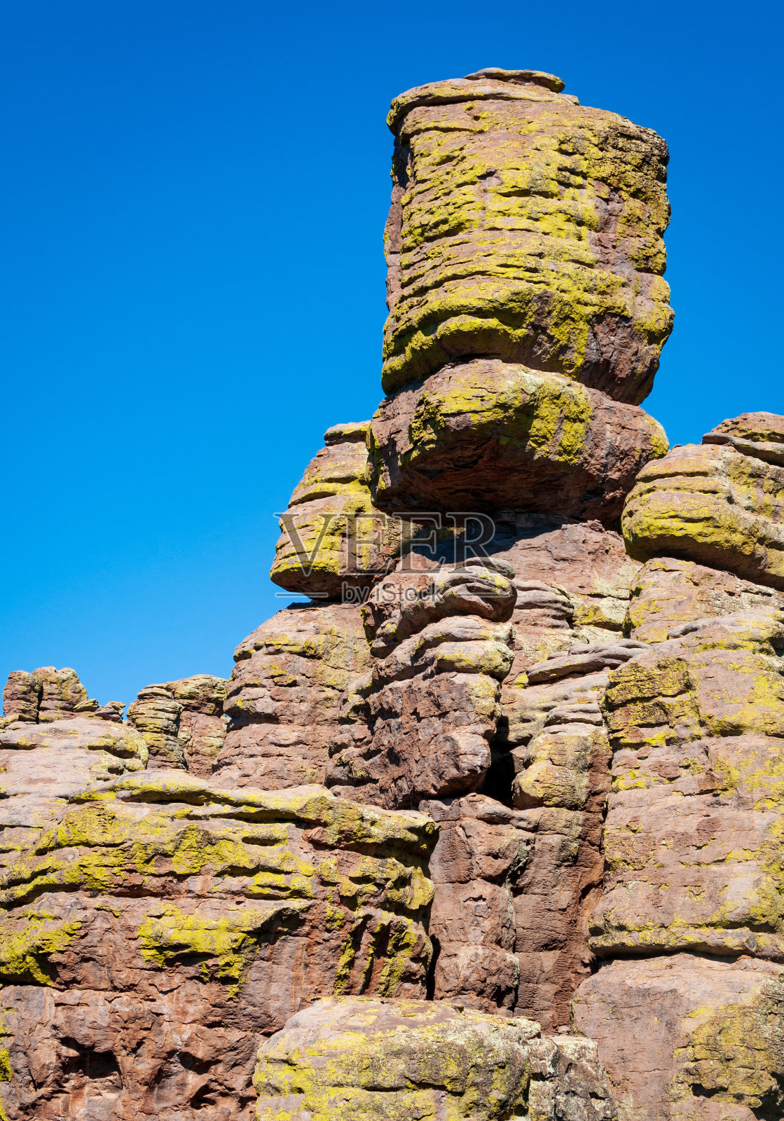奇里卡瓦国家纪念碑的锯齿胡毒照片摄影图片