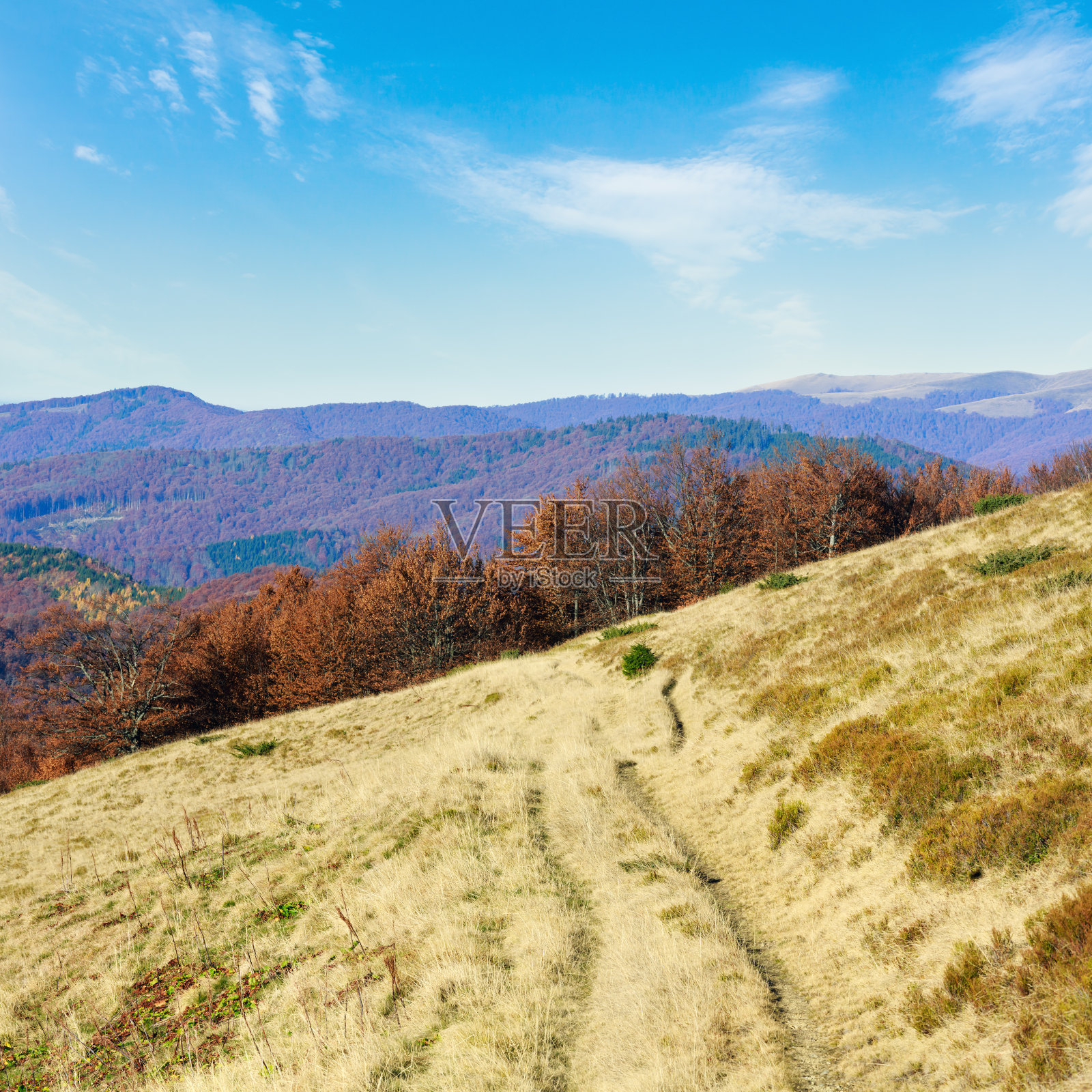 秋山乡路。照片摄影图片
