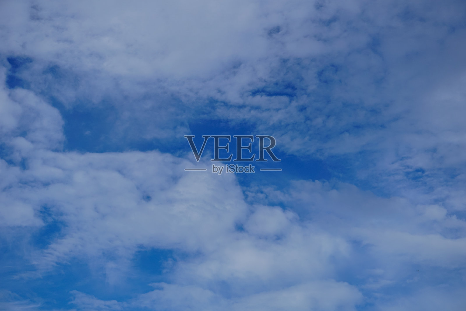 阴天的低角度视图照片摄影图片