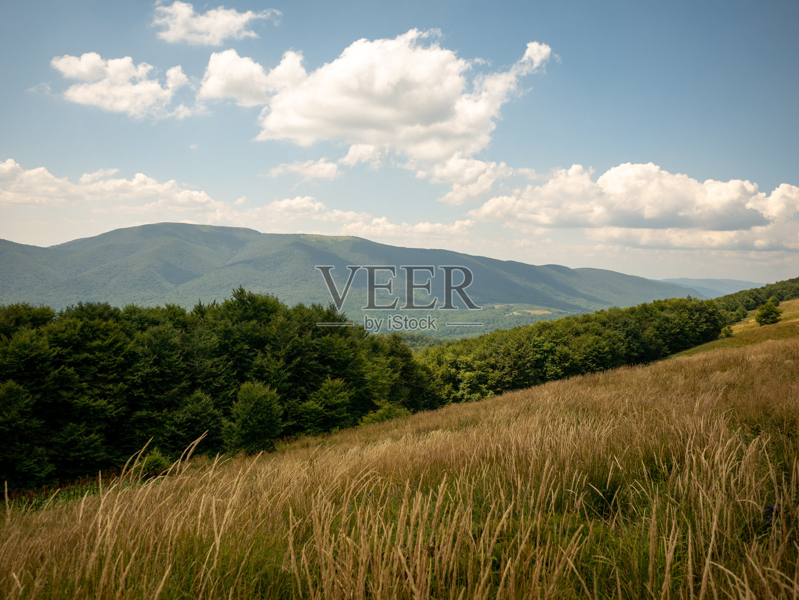 波兰夏天的徒步小径照片摄影图片