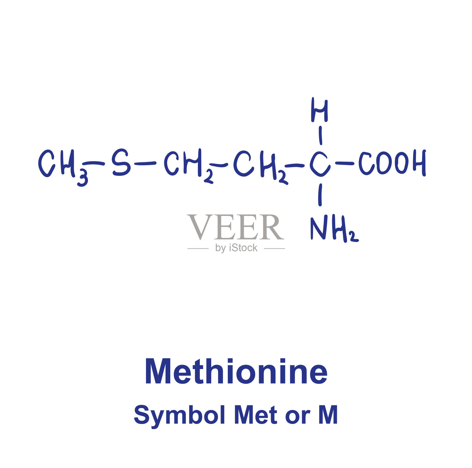 蛋氨酸的化学结构。矢量图插画图片素材