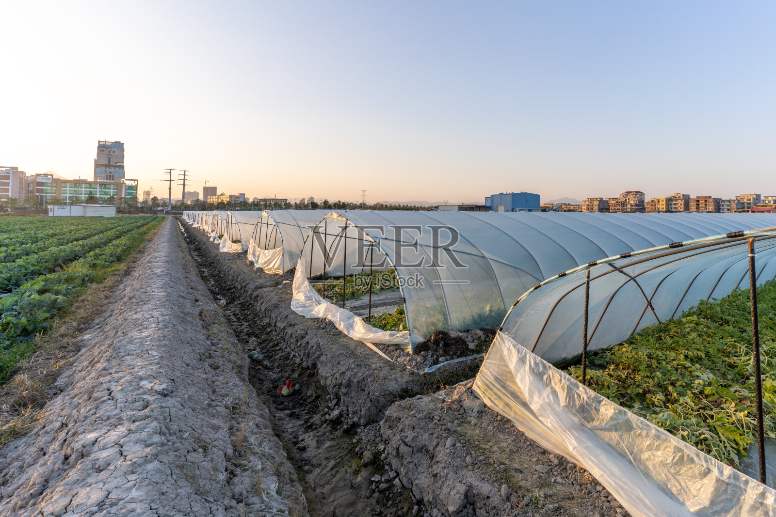 温室与现代农业作物照片摄影图片