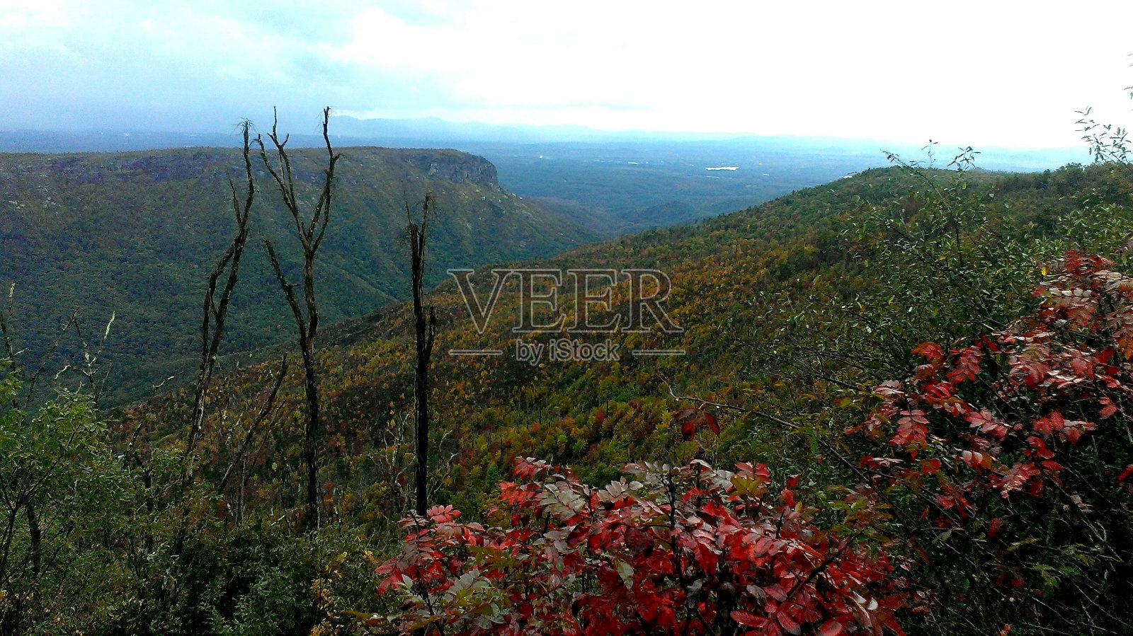 来自Pinnacle的Shortoff山照片摄影图片