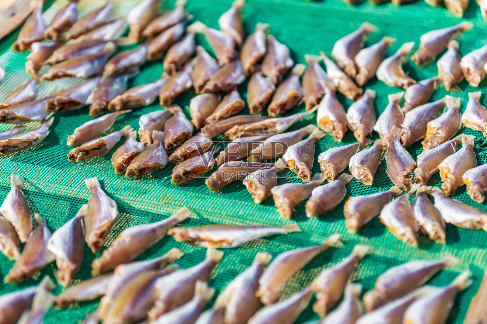 鱼在阳光和海风中晒干。越南在架子上晾晒的传统干黄花鱼。库存图片照片摄影图片