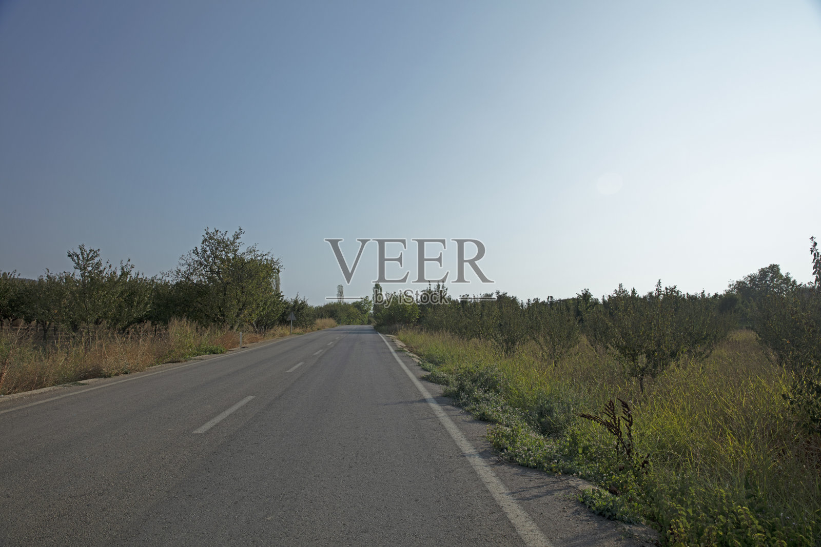 通往村庄的柏油路照片摄影图片