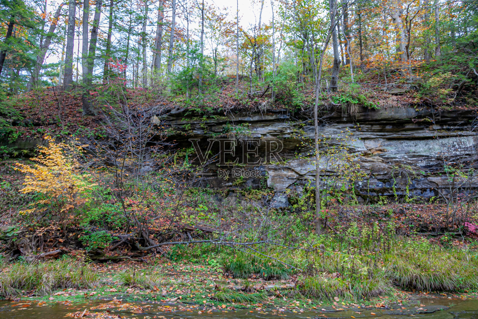 秋天的颜色照片摄影图片