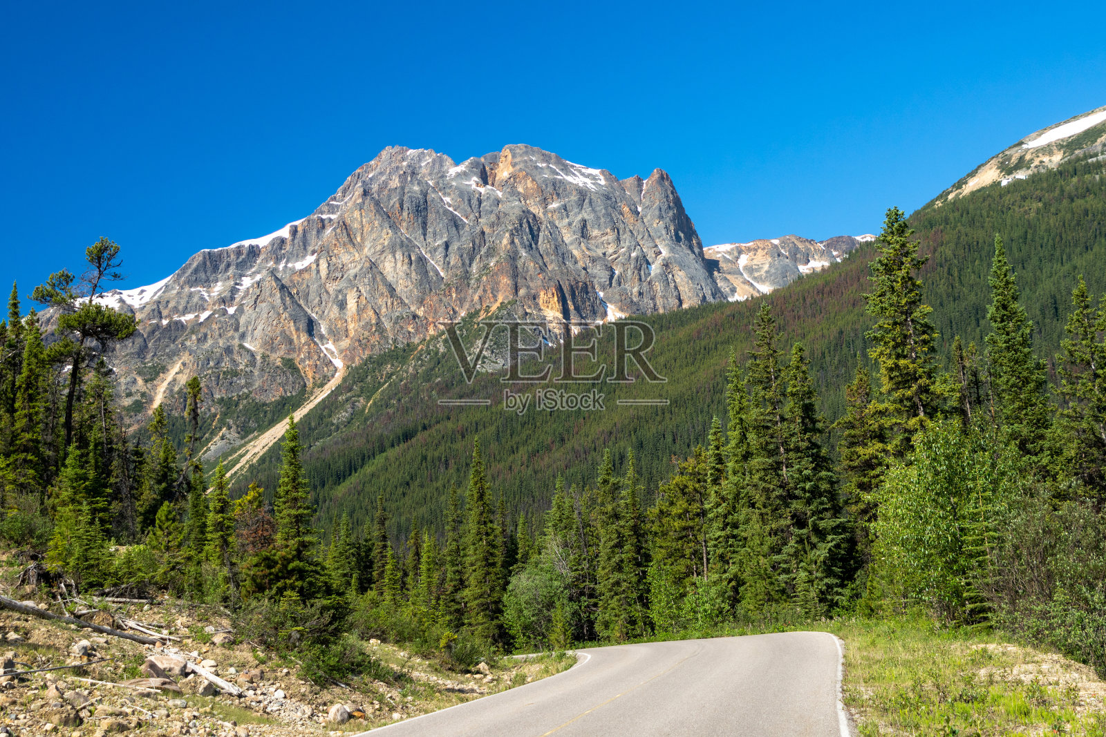 加拿大落基山脉乡村公路景观。碧玉国家公园自然风光秀丽。加拿大阿尔伯塔省。照片摄影图片
