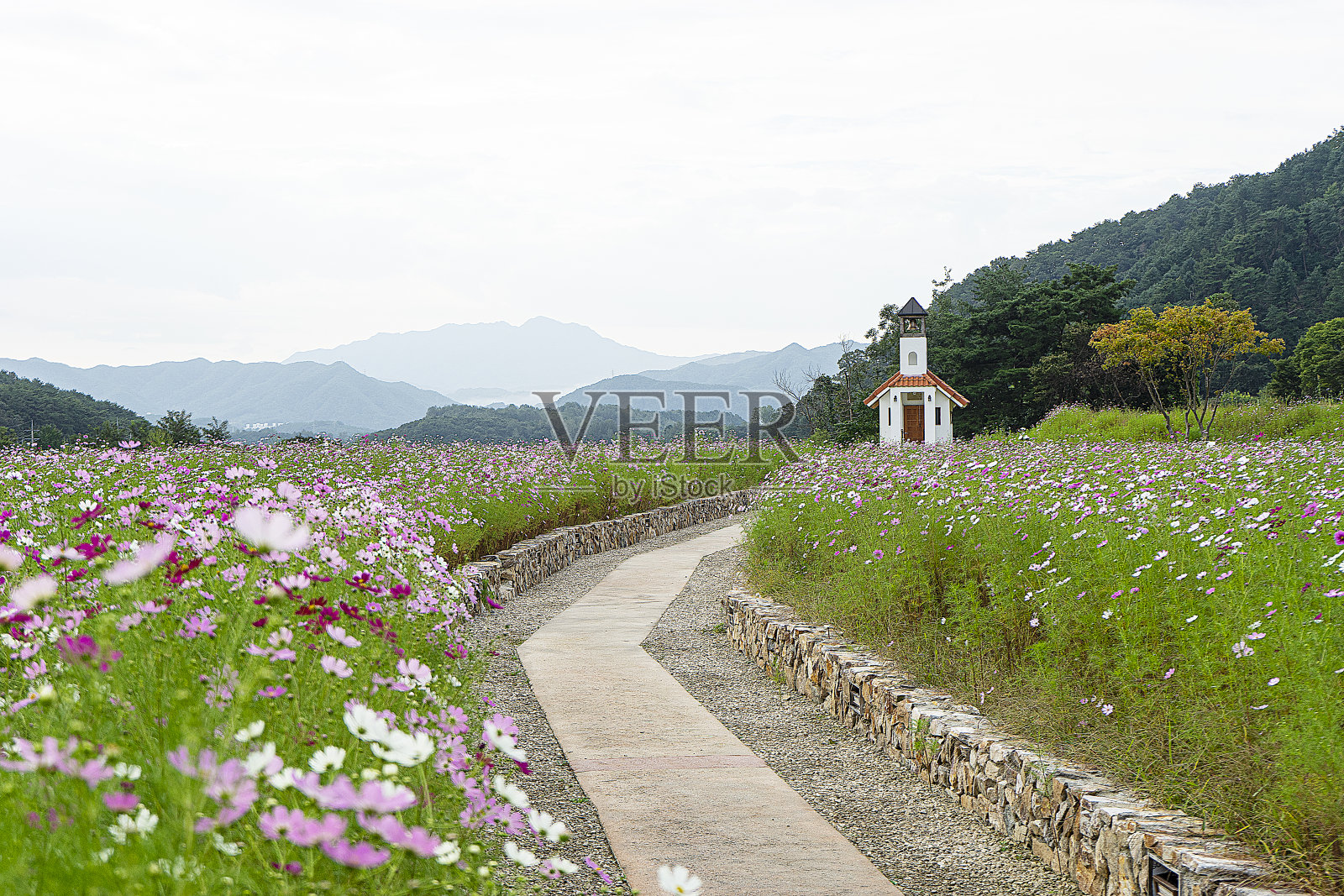景观照片摄影图片