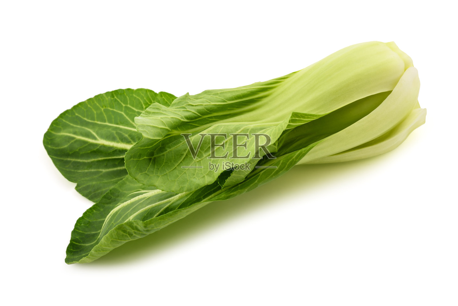 鲜白菜照片摄影图片