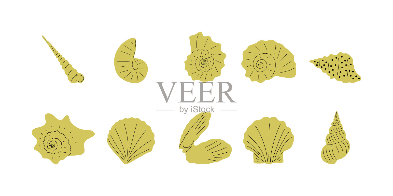 热带水下贝壳。手绘海软体贝类元素。斯堪的纳维亚风格的矢量插图。插画图片素材