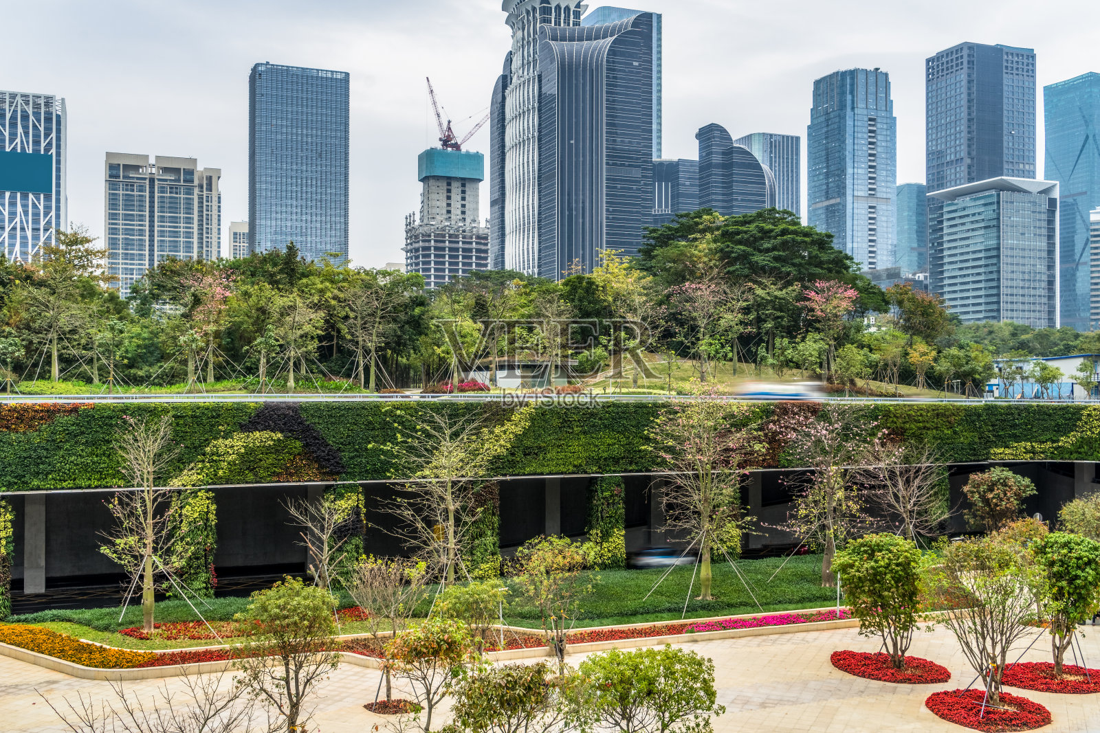 白天在深圳金融区照片摄影图片