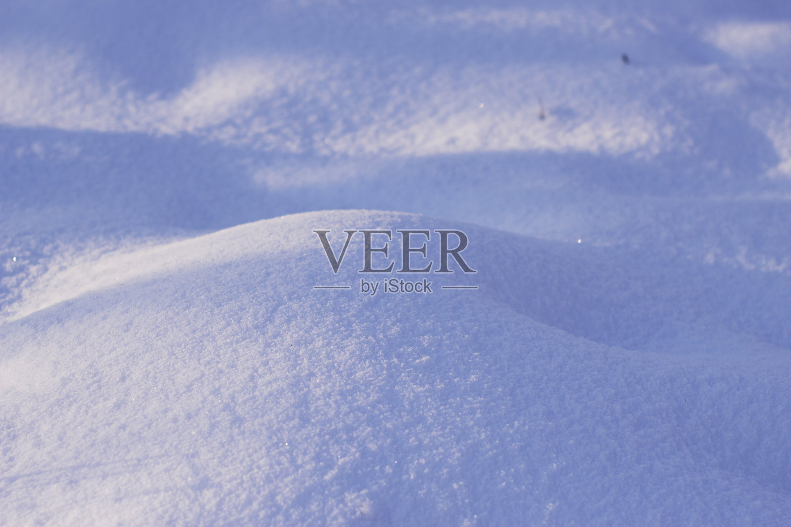 白雪覆盖的花园照片摄影图片