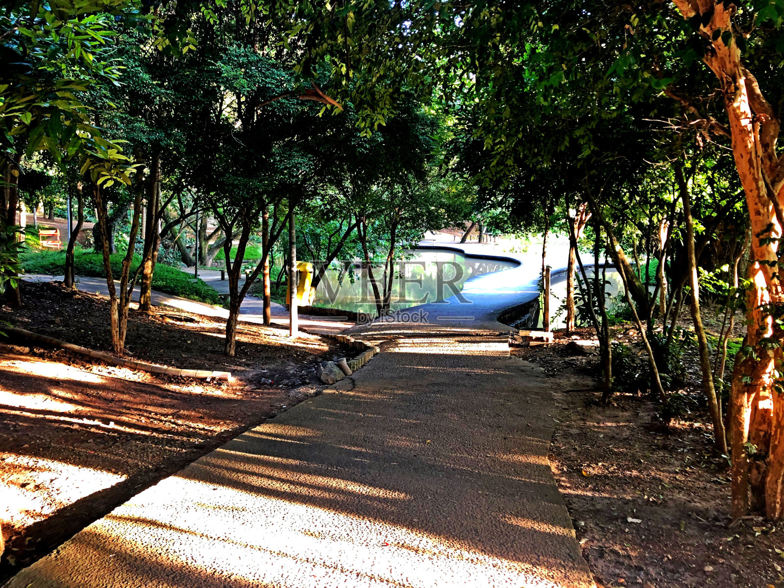 树叶下的栈道隧道照片摄影图片