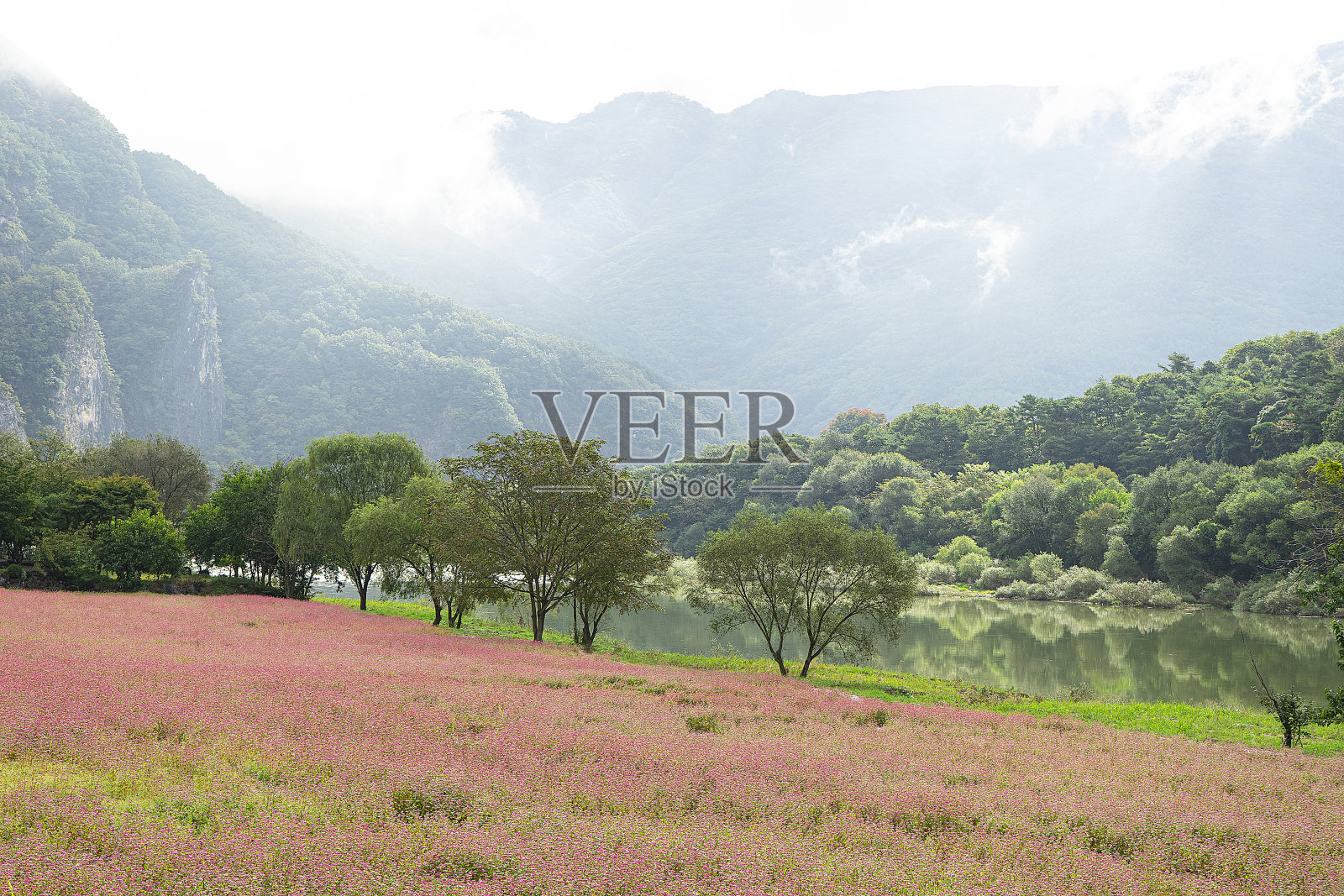 景观照片摄影图片