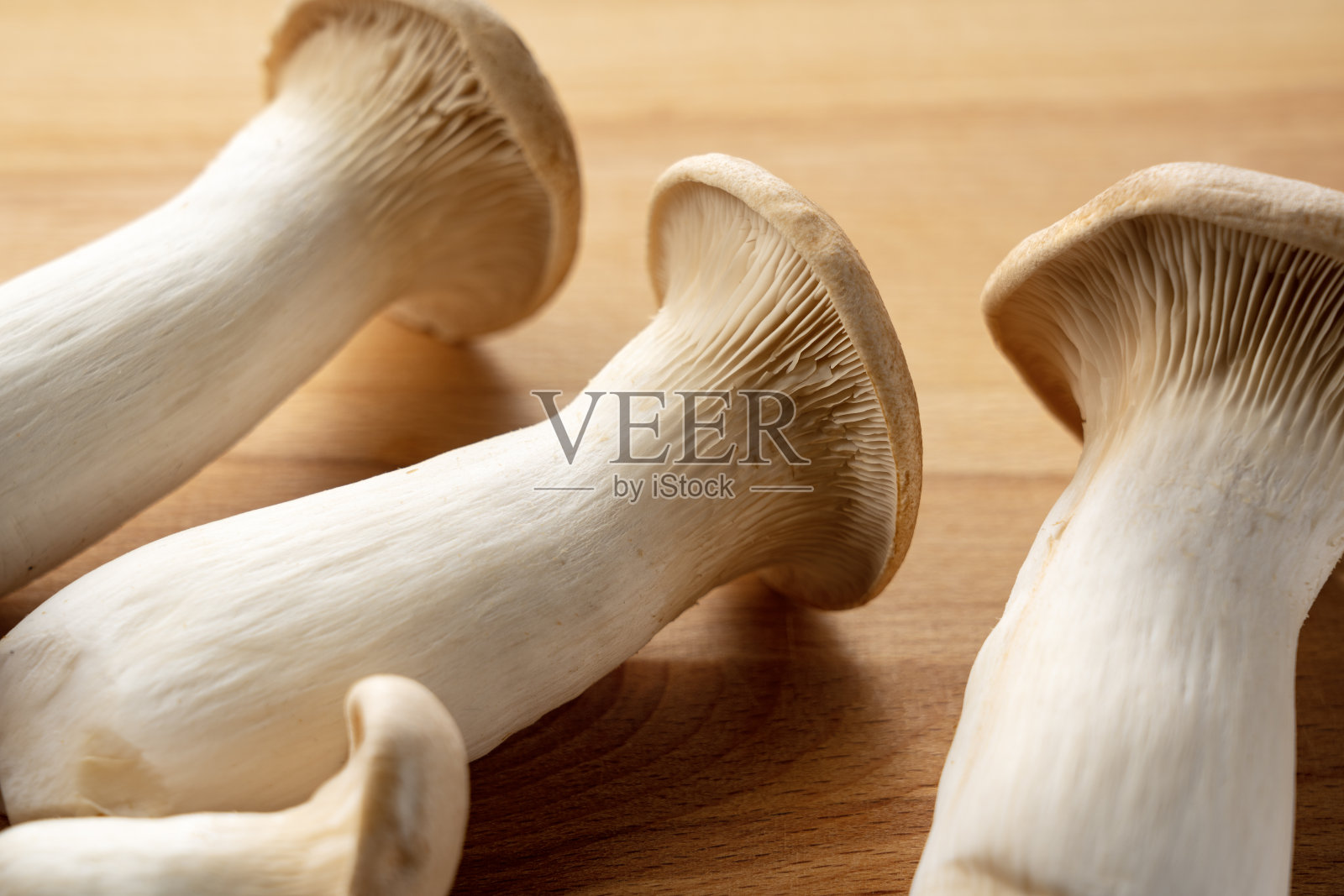 杏茸放在木制背景上。照片摄影图片