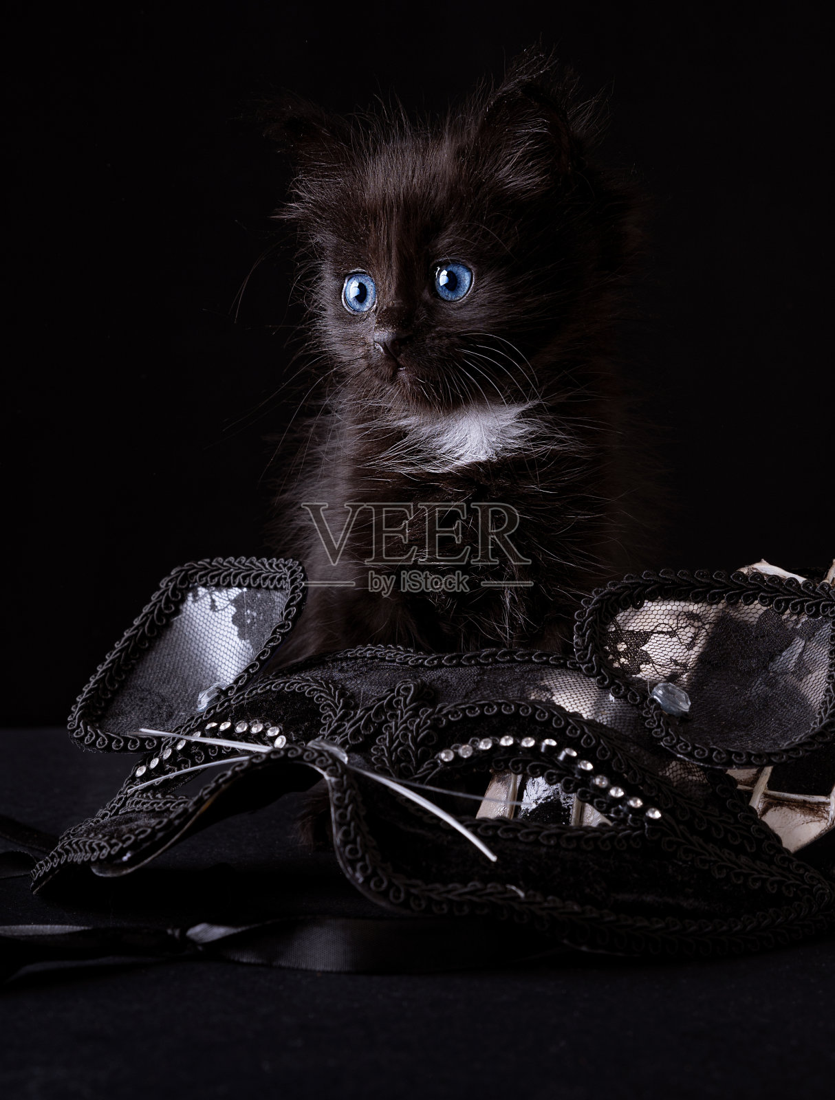 威尼斯狂欢节的标志是一个像小丑一样的格纹面具。意大利的假面舞会。小黑猫和狂欢节面具。照片摄影图片