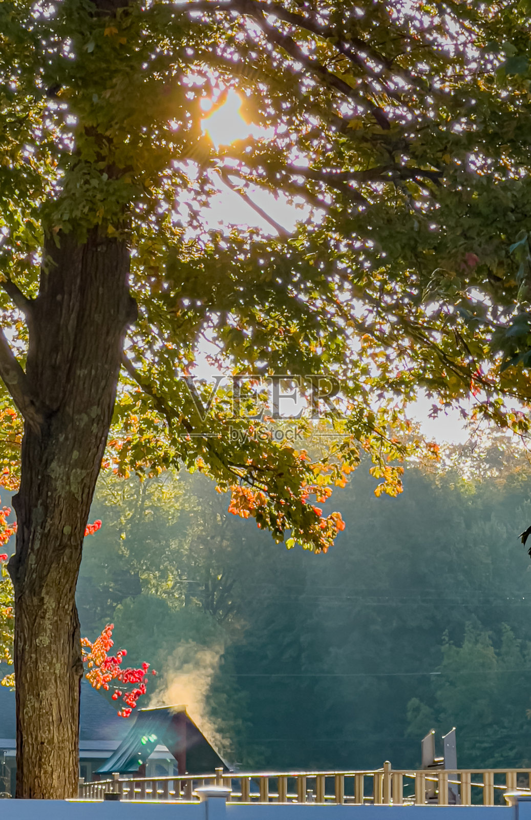 秋天的颜色照片摄影图片