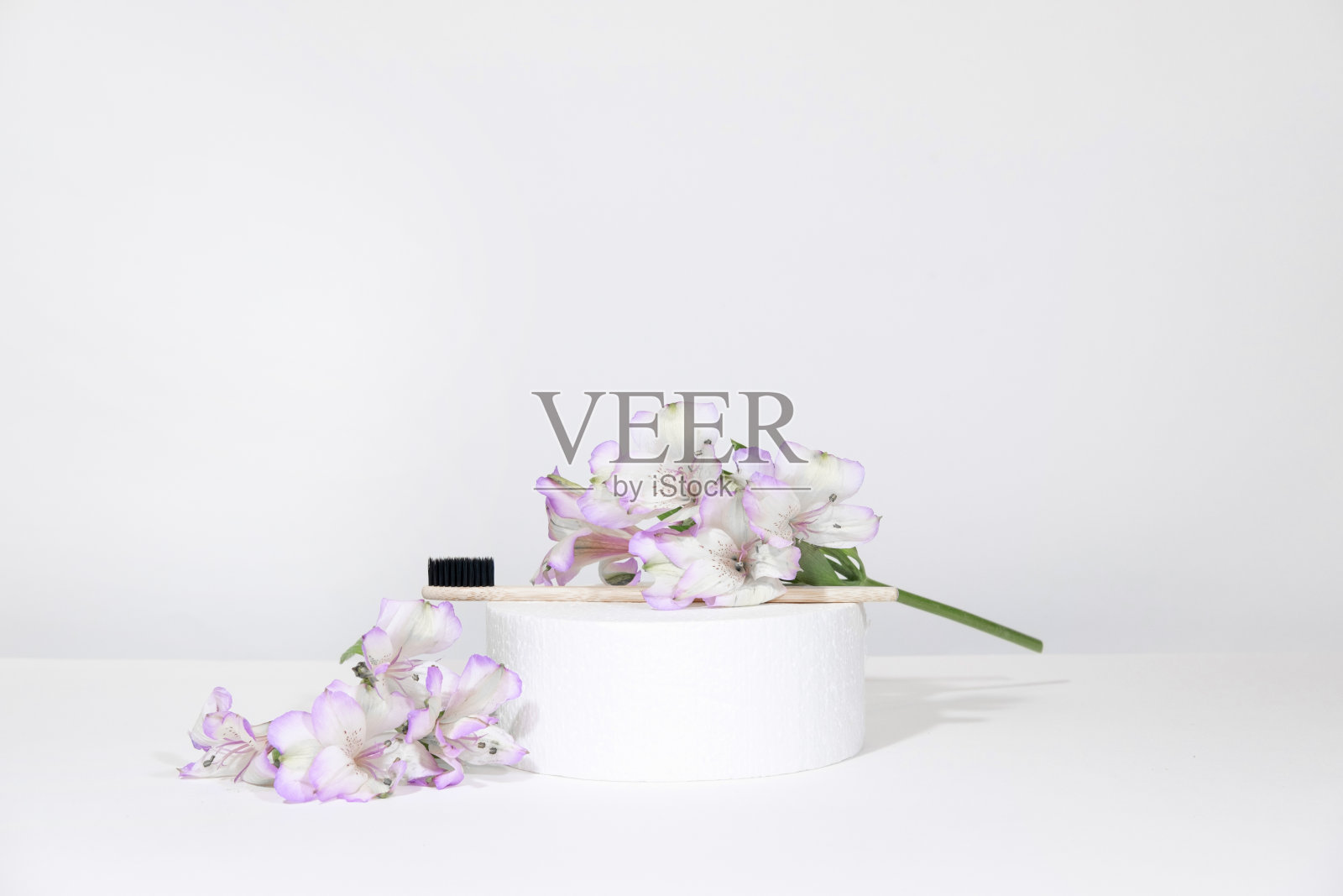 牙科和口腔护理产品的创意代表。竹牙刷基座上有植物、鲜花,白色灰色的桌子背景。牙科保健照片摄影图片