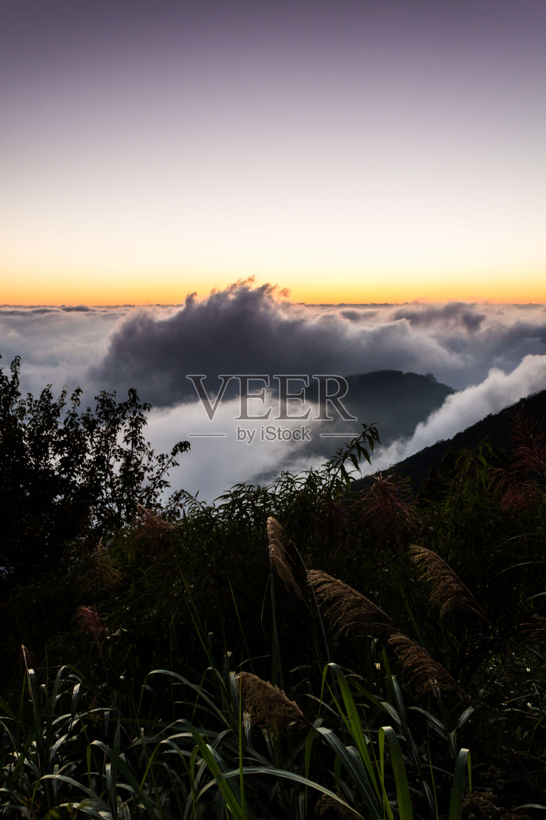 台湾度假-阿里山日落照片摄影图片