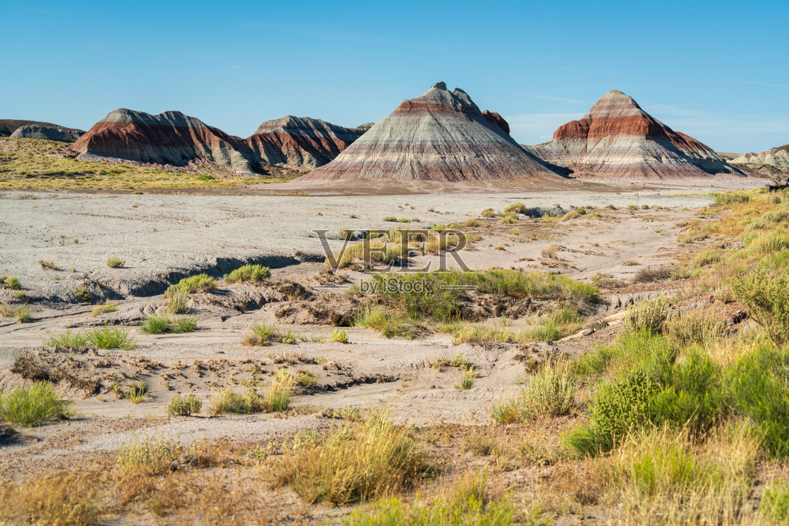 彩绘沙漠,石化森林国家公园照片摄影图片