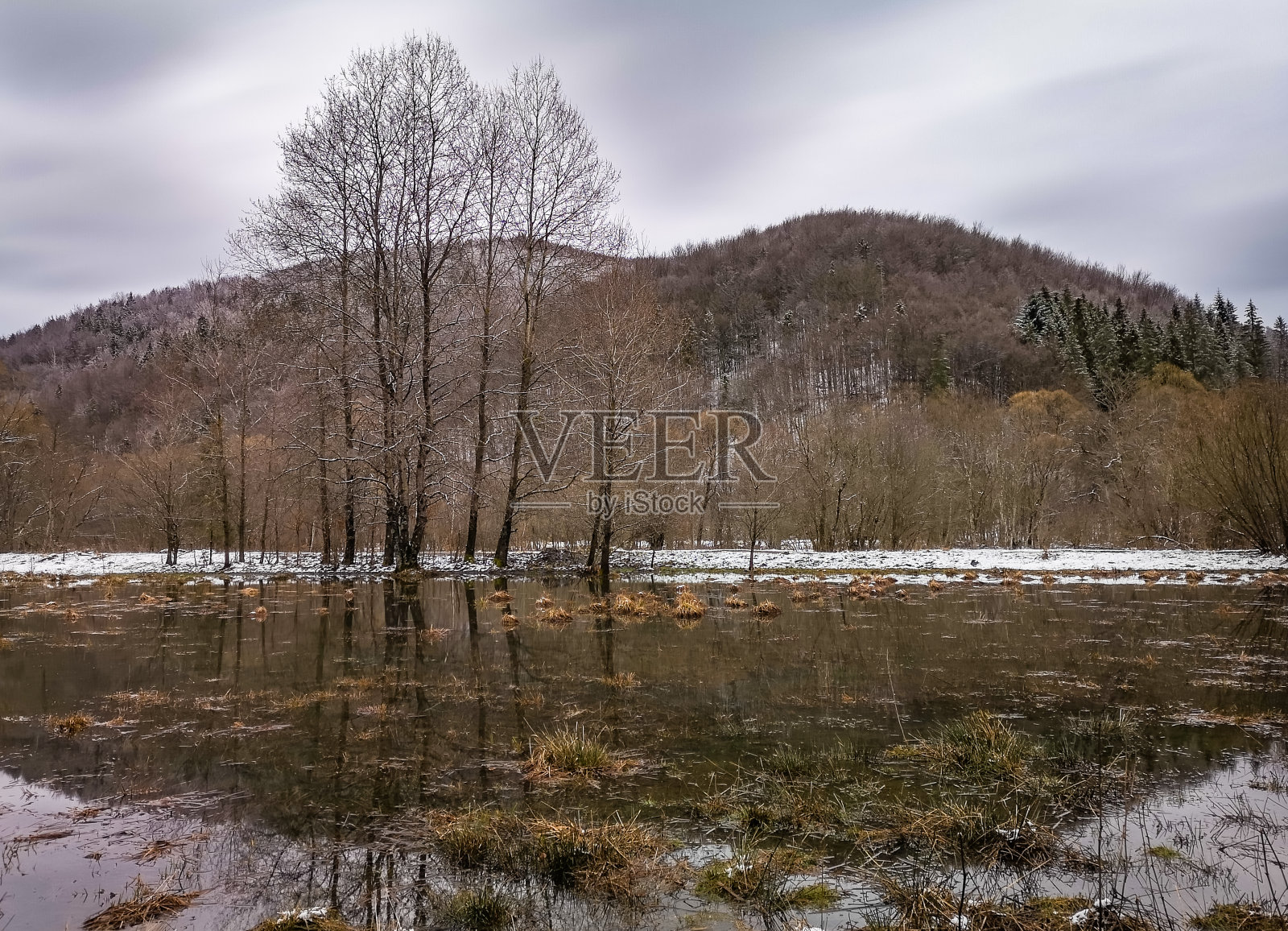山林中的春天景观,有一个巨大的水坑照片摄影图片
