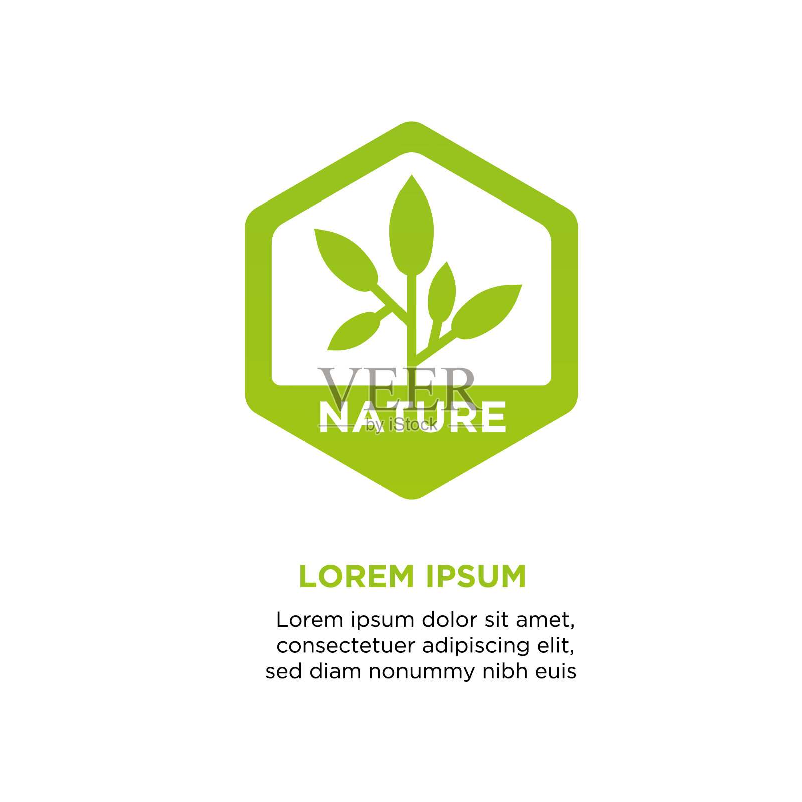 叶子标志设计插画图片素材