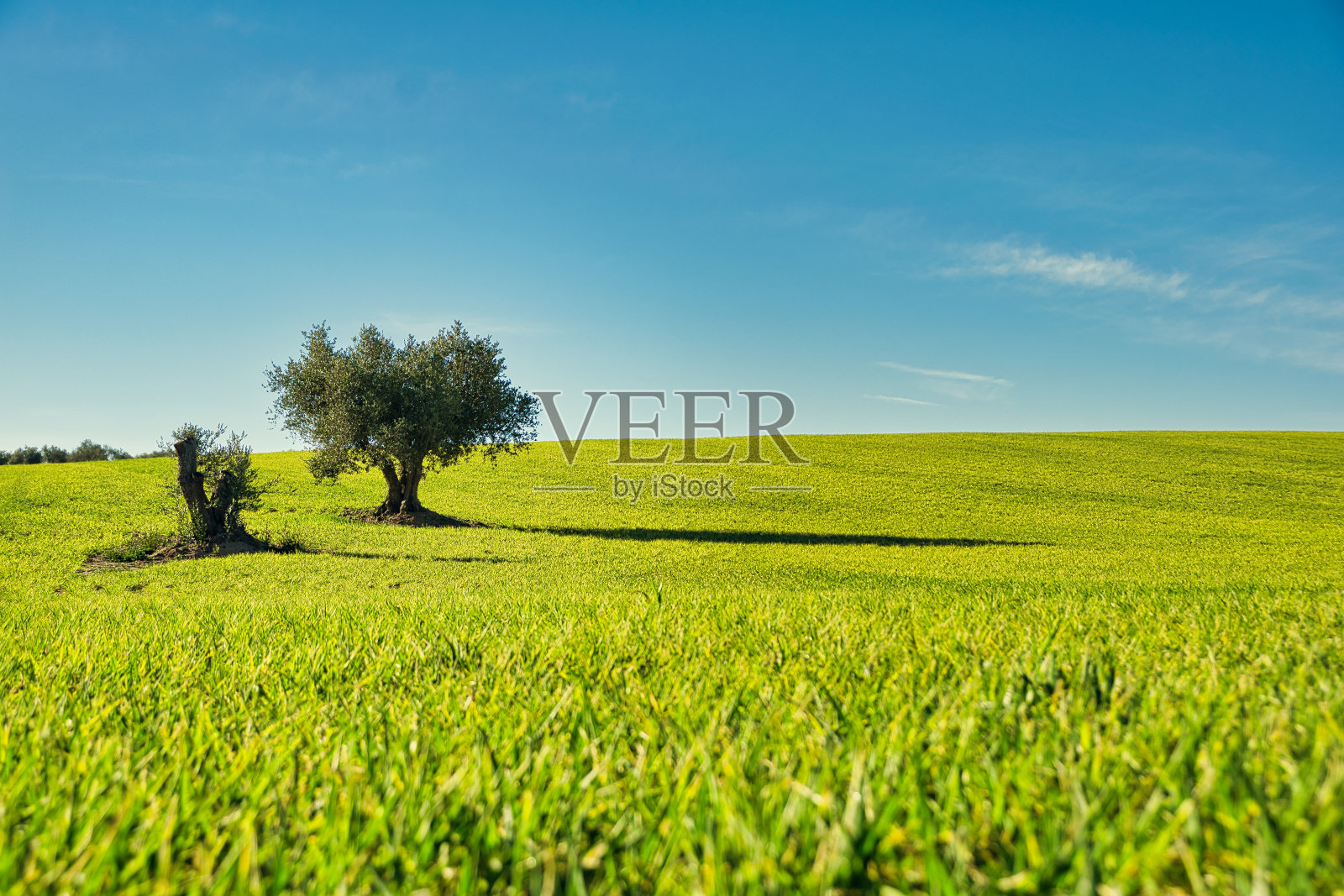 孤独。照片摄影图片