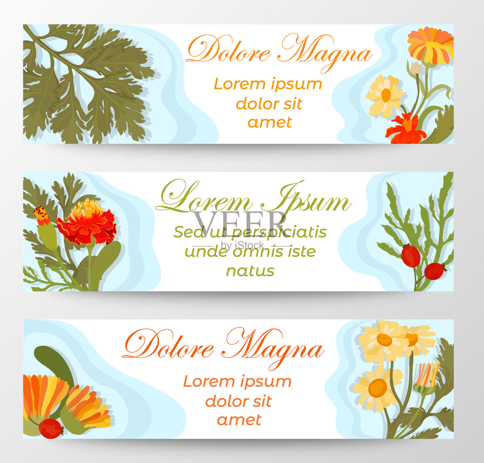 带有样本文本和花卉成分的横幅插画图片素材